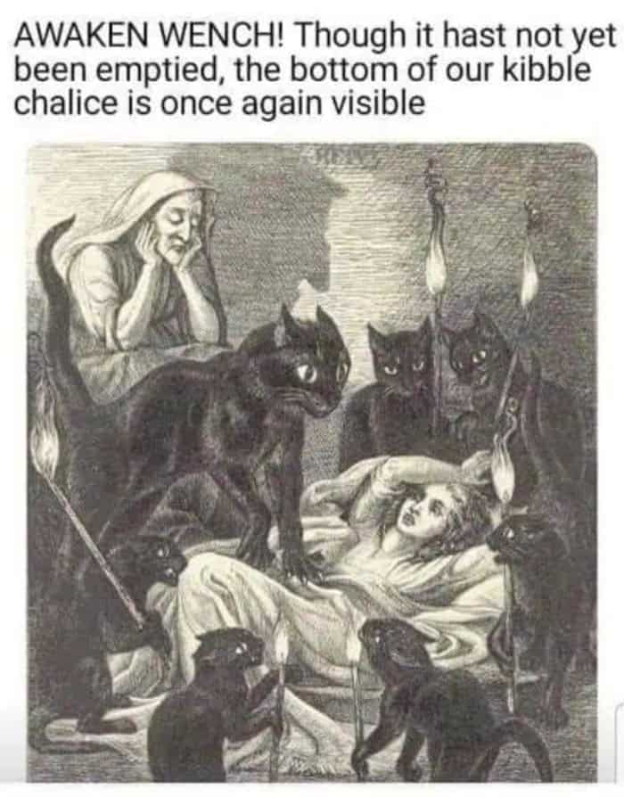 dramatic classical art meme using a 19th-century engraving of a group of wide-eyed black cats, one holding a literal torch, waking up a woman in bed. The caption translates feline entitlement into archaic speech: "AWAKEN WENCH! Though it hast not yet been emptied, the bottom of our kibble chalice is once again visible."