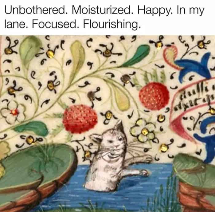 whimsical medieval cat meme featuring an intricate illuminated manuscript border. A cat sits contentedly in a stream among oversized strawberries and flowers, paired with the viral mantra: "Unbothered. Moisturized. Happy. In my lane. Focused. Flourishing."