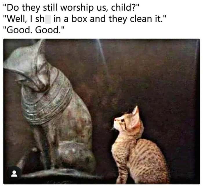 historical classical art meme showing a bronze Bastet statue next to a living cat. The ancient statue asks if they are still worshipped; the modern cat confirms they are by explaining, "Well, I sh*t in a box and they clean it."
