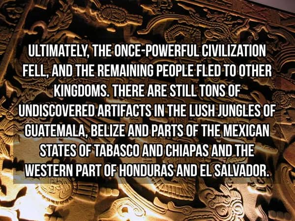 Intricate Mayan wall carving representing the fallen civilization and undiscovered artifacts hidden in Central American jungles.