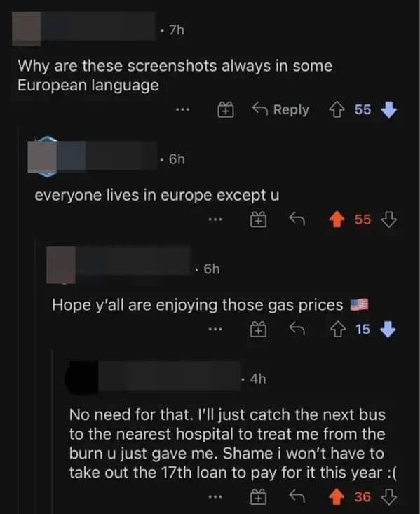 Online argument comparing European gas prices to American healthcare costs and medical debt.