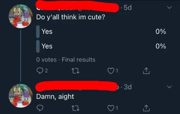 Twitter poll asking for cute validation that ends with zero votes after five days.