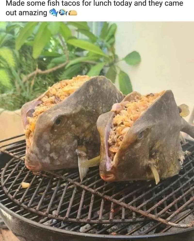 A literal and stomach-turning take on "fish tacos" shows two entire, intact tropical fish propped up on a grill, their bodies split open and stuffed with seasoned filling.