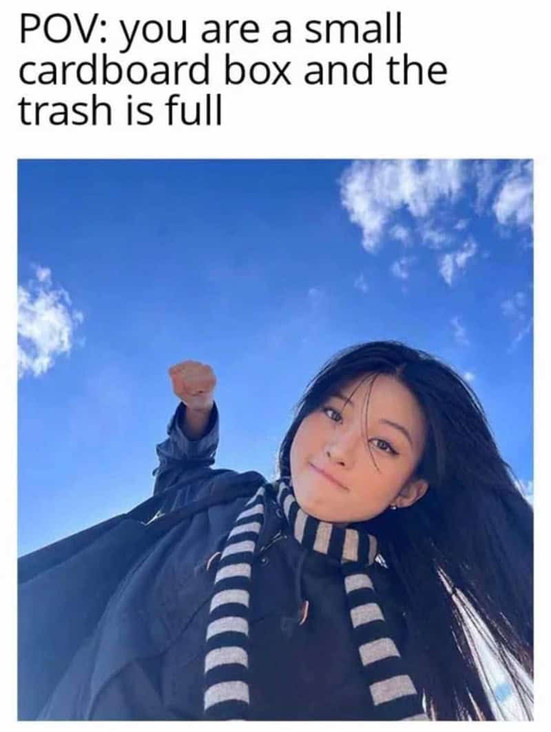 Girl in a scarf winding up a punch with a POV caption about being a cardboard box.