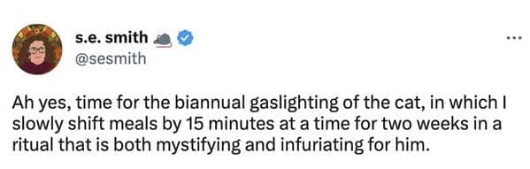 funny pet daylight savings meme describing the brutal biannual ritual of slowly gaslighting a cat by shifting its meals fifteen minutes at a time, completely confusing and infuriating the poor animal.