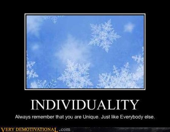 A cynical demotivational poster titled "INDIVIDUALITY." It displays a serene, high-definition close-up of blue-tinted snowflakes, undermined by the biting social commentary: "Always remember that you are Unique. Just like Everybody else."