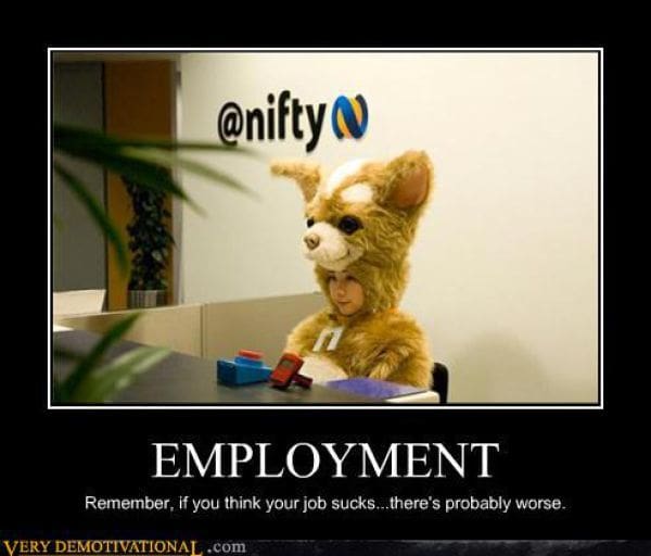 workplace demotivational poster depicting an employee sitting at an office desk while wearing a massive, bug-eyed chihuahua mascot head. The title "EMPLOYMENT" is paired with a bit of perspective: "Remember, if you think your job sucks... there's probably worse."