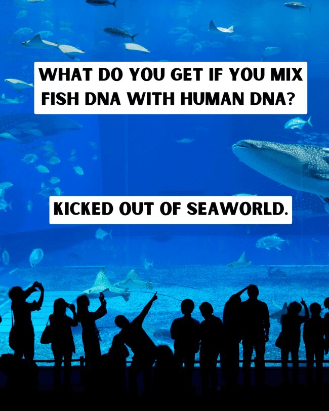 Silhouettes of people at an aquarium with a joke about mixing fish and human DNA.