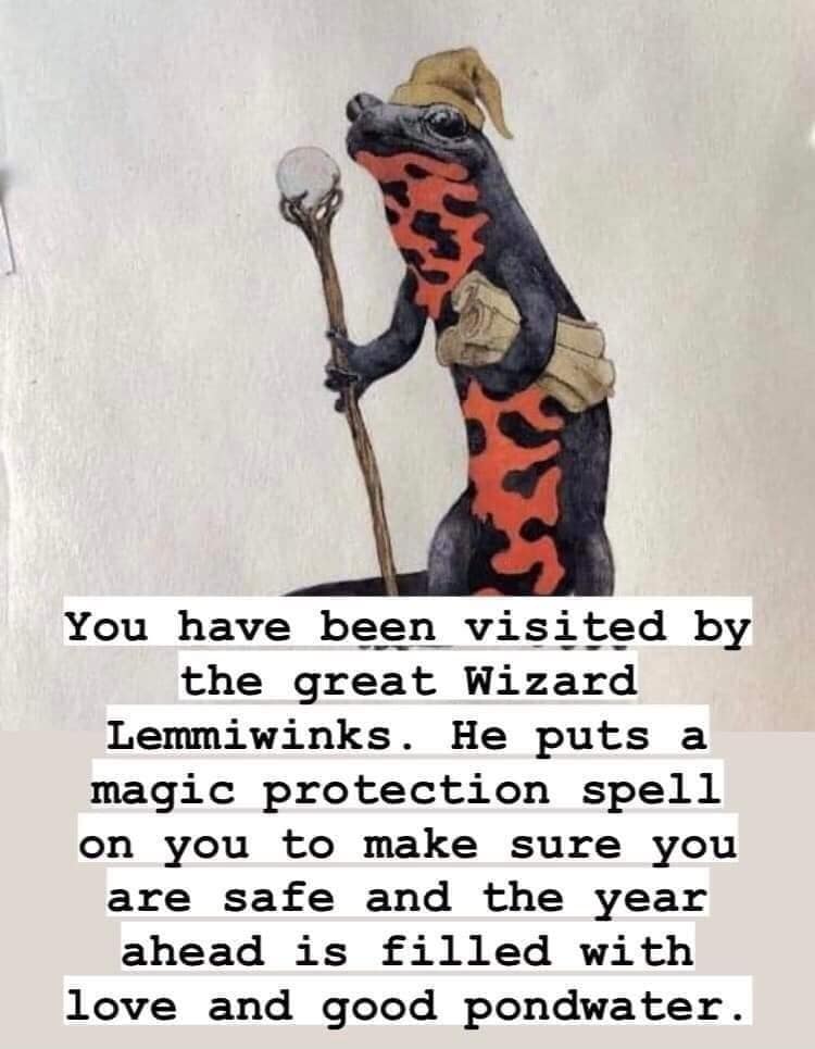 wholesome d&d meme featuring an illustration of a colorful salamander wearing a wizard’s hat and holding a staff. The caption introduces him as "the great Wizard Lemmiwinks," who grants a magic protection spell for a year filled with "love and good pondwater".