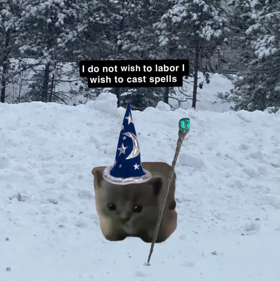 A small kitten wearing a blue starry wizard hat and holding a staff in the snow, captioned with the relatable d&d meme text: "I do not wish to labor I wish to cast spells."