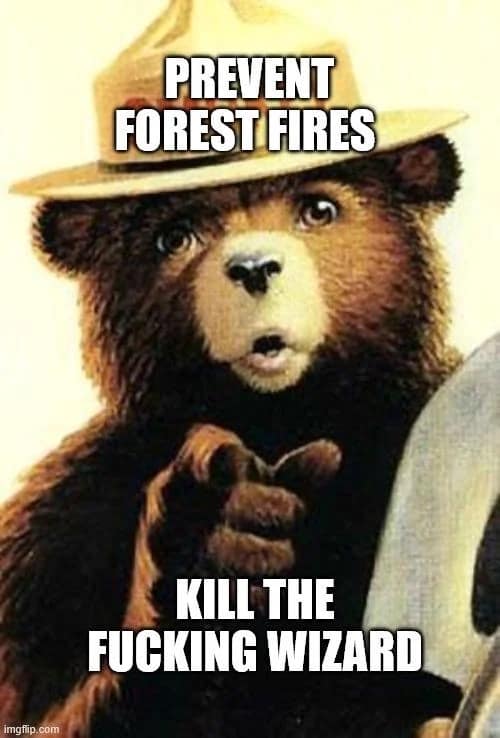 A blunt dnd meme featuring Smokey Bear pointing aggressively at the viewer. The text warns: "PREVENT FOREST FIRES. KILL THE F*CKING WIZARD," referencing the class's tendency to cast Fireball without considering the local ecosystem or collateral damage.