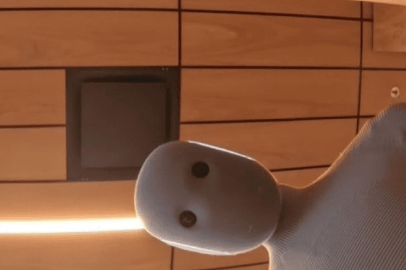 A collage of work email memes featuring a regal tweet about the "lion not concerning himself" with the emails that find him, a hilarious draft of a hyper-apologetic email that ends with "Sorry I exist!", and a sharp reader sign-off that simply says "No regards."