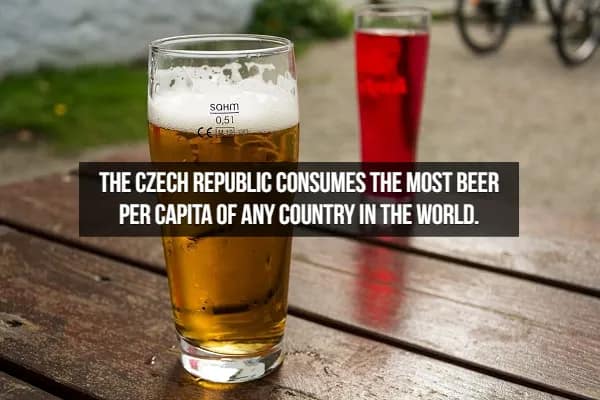 A crisp pint of lager sitting on a rustic outdoor table, highlighted by a consumption fact about beer: the Czech Republic holds the world title for the most beer consumed per capita.
