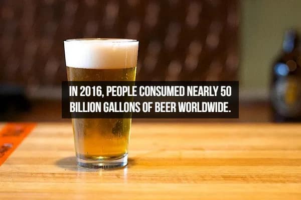 A perfectly poured pilsner with a thick, creamy head stands solo on a bar top. The text highlights massive consumption facts about beer: "In 2016, people consumed nearly 50 billion gallons of beer worldwide."