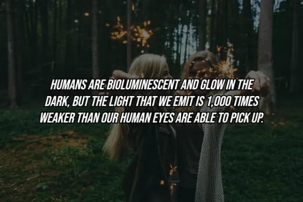 Two friends holding sparklers in a dark forest, illustrating a facts about the human body entry explaining that humans are actually bioluminescent, though the glow is too faint for our eyes to detect.