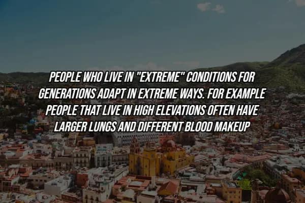 expansive view of a colorful hillside city, paired with a facts about the human body note on how generational living in high altitudes leads to evolutionary adaptations like larger lung capacity and altered blood makeup.