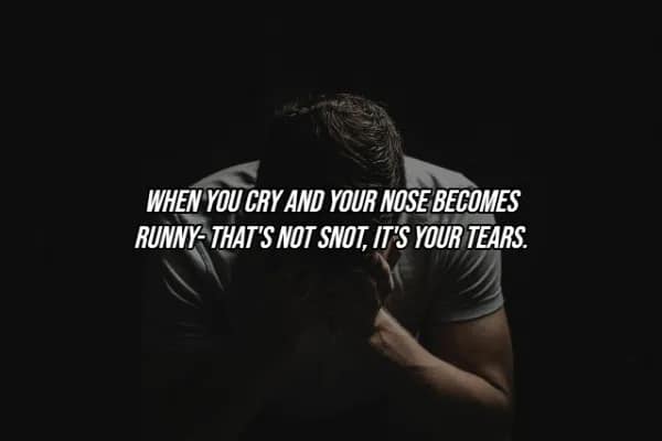 A silhouette of a person crying in the dark, featuring a facts about the human body revelation that a runny nose during crying is actually excess tears draining through the tear ducts rather than mucus.