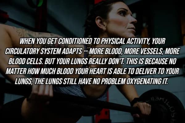 A woman training intensely with a barbell, featuring a facts about the human body explanation of why the lungs don't need to physically adapt to fitness as much as the circulatory system does.