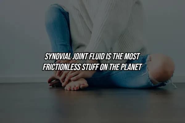 A person sitting on a wooden floor holding their legs, highlighting a facts about the human body superlative: synovial joint fluid is technically the most frictionless substance found on Earth.