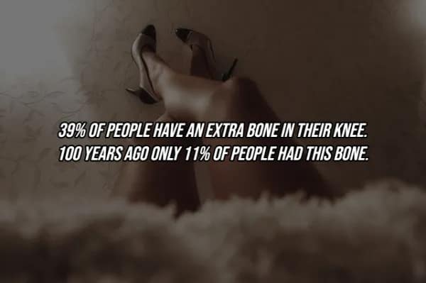 A stylized shot of legs in black heels resting upward against a wall, paired with a facts about the human body stat about the rapid evolutionary increase of the "fabella," an extra bone in the knee.