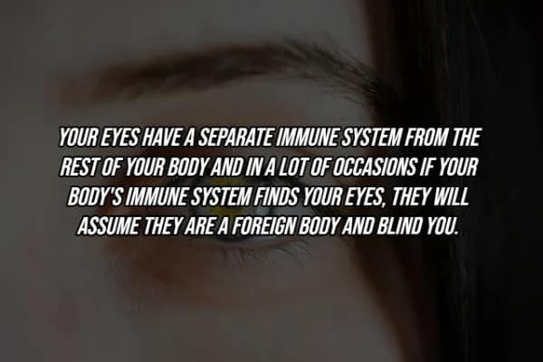 A somber, shadowed close-up of a human eye with a disturbing facts about the human body explanation that eyes have an "isolated" immune system; if your main immune system "finds" them, it may attack and cause blindness.