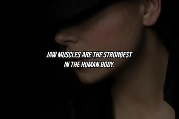 A dramatic profile shot of a woman’s jawline in deep shadow, accompanied by a facts about the human body fact declaring that the masseter (jaw muscle) is the strongest muscle in the human body relative to its size.