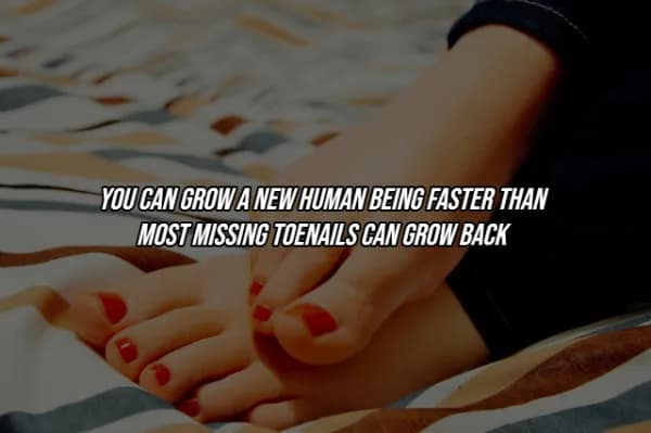 pair of feet resting on a bed, highlighting a bizarre facts about the human body timeline: you can physically grow an entire new human being in less time than it takes for a missing toenail to fully regrow.