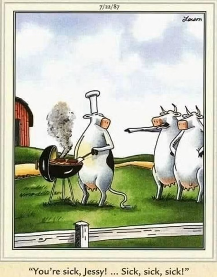 This far side comic features "Jessy" the cow, wearing a chef's hat and apron while happily flipping beef patties on a charcoal grill. Behind her, two other cows look on in absolute horror, with one exclaiming, "You're sick, Jessy! ... Sick, sick, sick!"