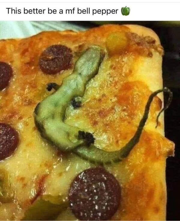 Slice of pizza with a highly suspicious green bell pepper that looks exactly like a cooked lizard. A classic food meme about questionable restaurant toppings.