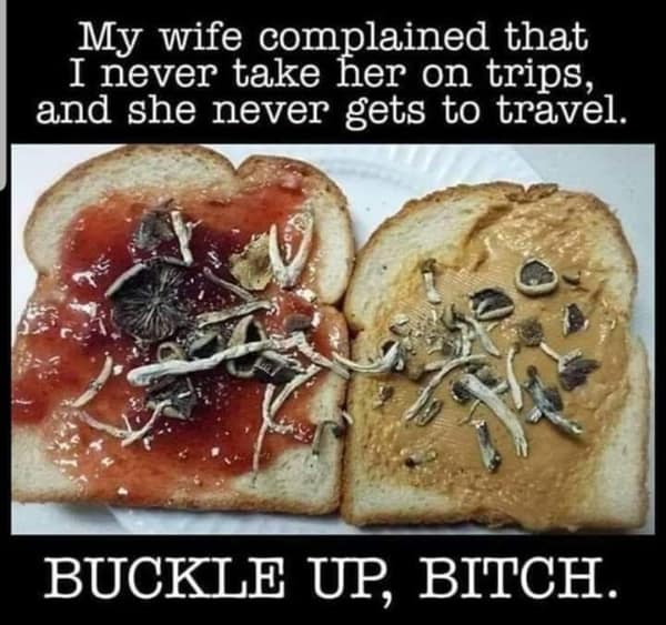 Peanut butter and jelly sandwich heavily loaded with magic mushrooms. A crazy food meme joking about finally taking a complaining wife on a trip.