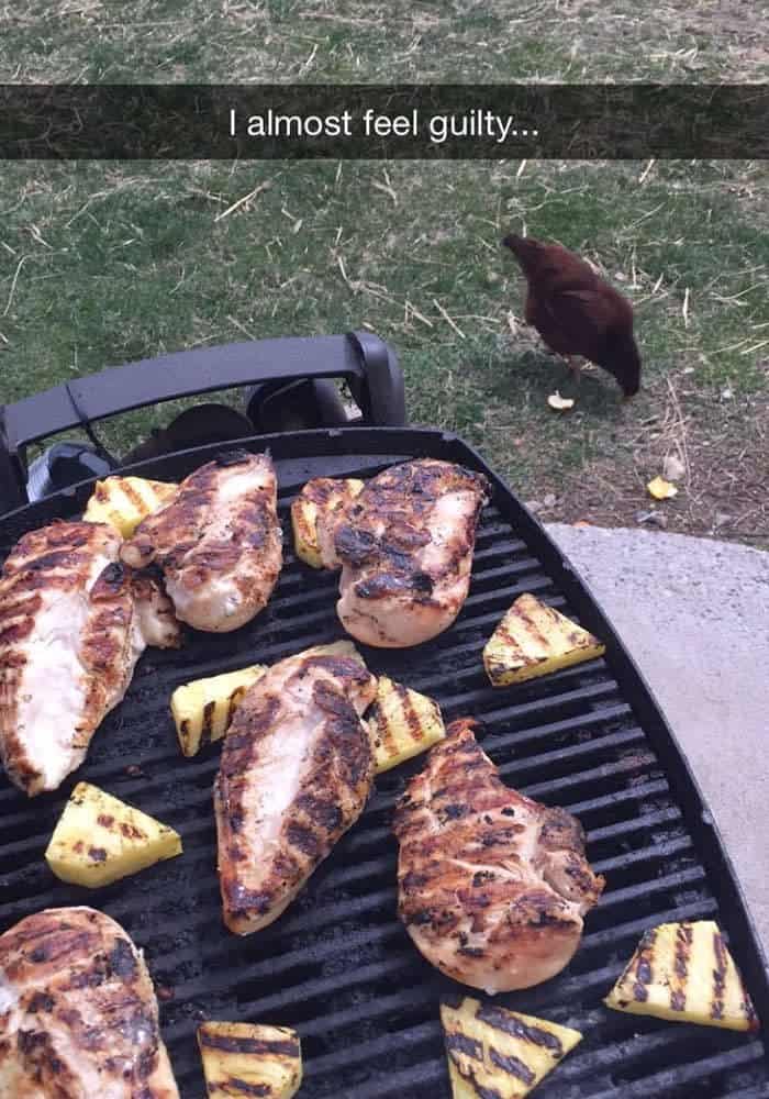 A chicken pecking at the ground near a grill filled with cooking chicken breasts and pineapple.