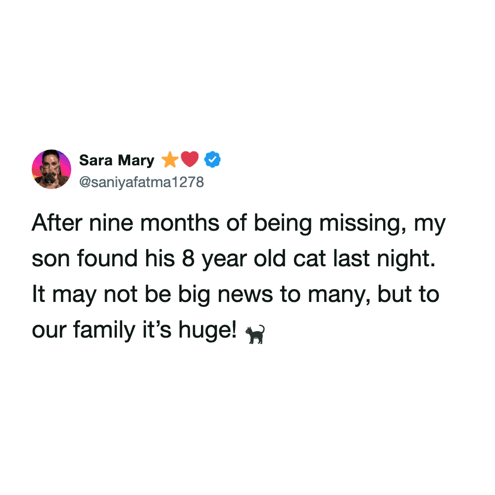 heartwarming funny cat meme tweet sharing a family’s joy after their son found his eight-year-old cat who had been missing for nine months.