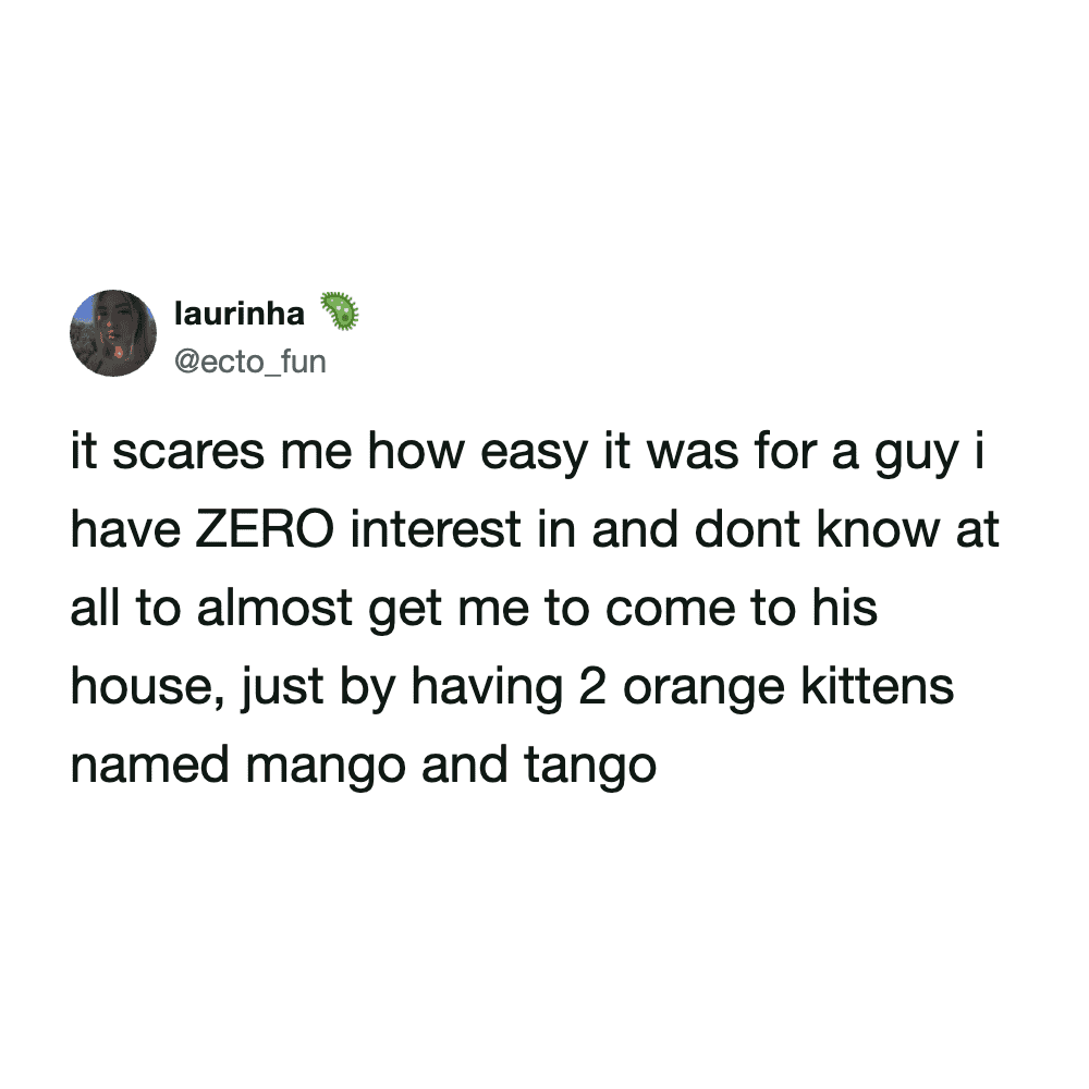 A viral funny cat meme tweet by laurinha confessionally admitting that two orange kittens named Mango and Tango are a nearly foolproof way to lure her to a stranger’s house.