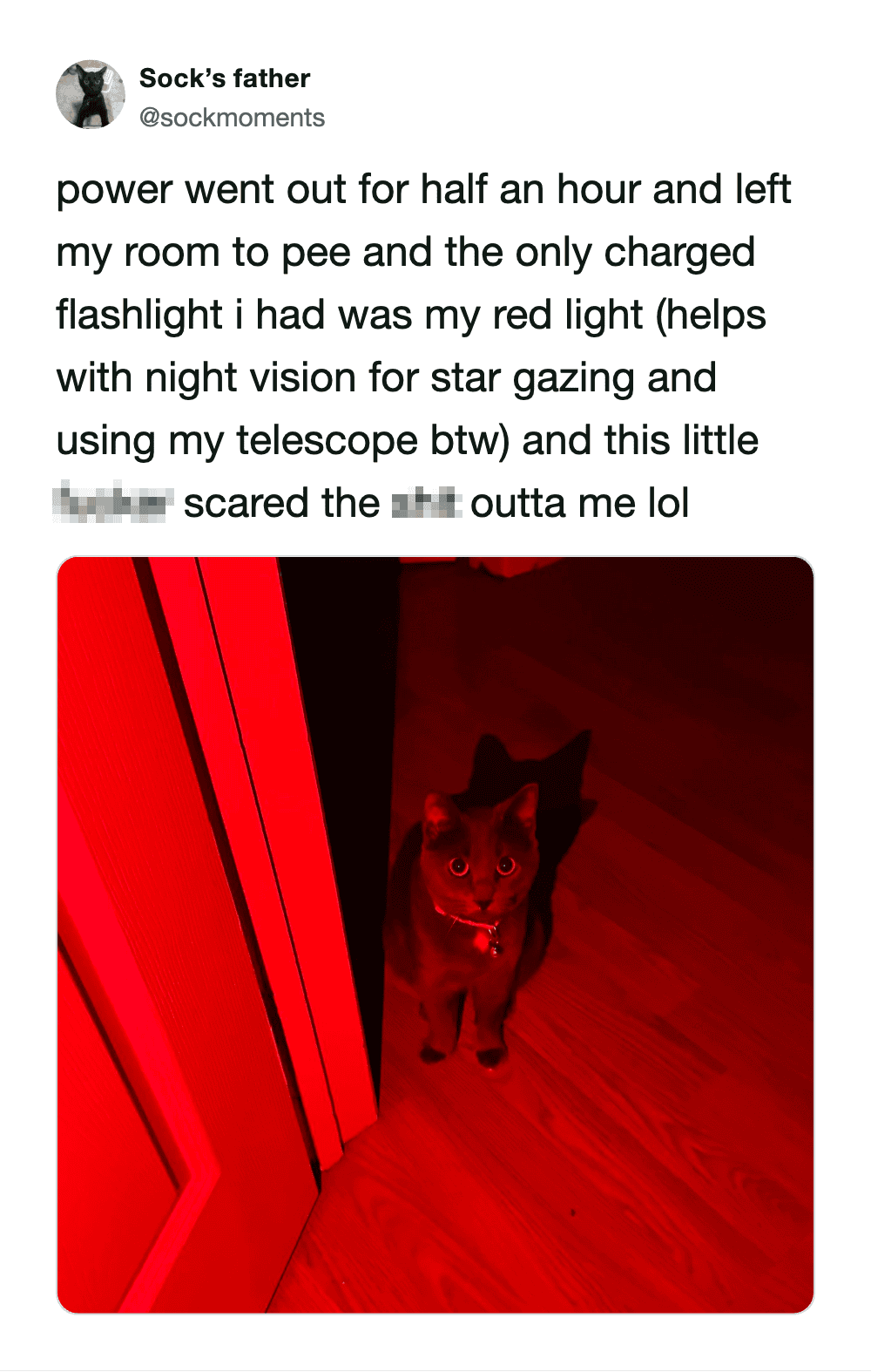 spooky funny cat meme shows a cat caught in the intense glow of a red flashlight during a power outage, making the feline look like a glowing-eyed demon in the dark.