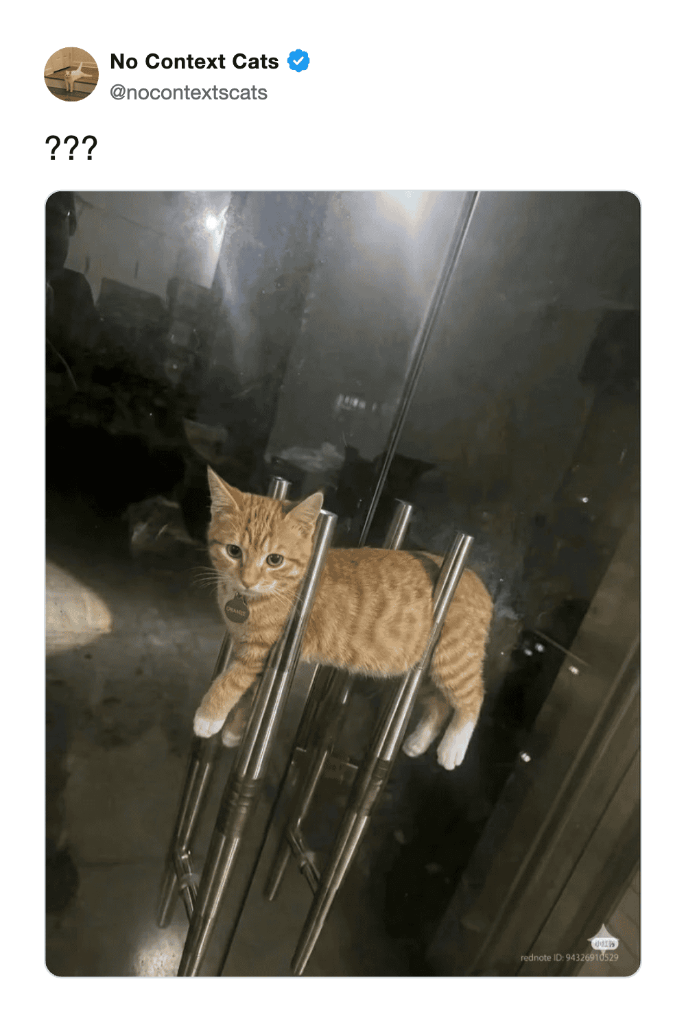 surreal funny cat meme from "No Context Cats" showing an orange tabby seemingly passing through several vertical chrome bars of a piece of furniture in a physics-defying pose