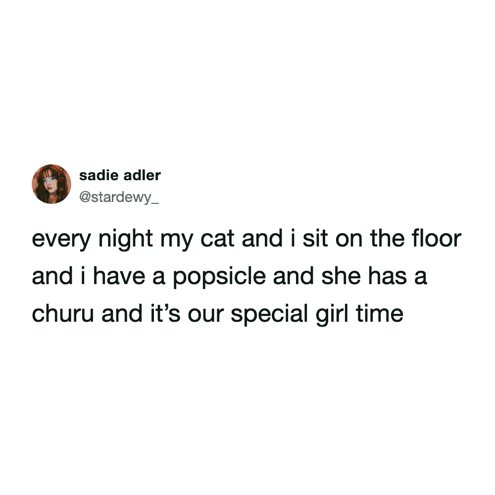 A cozy and relatable text-based funny cat meme tweet by Sadie Adler describing a nightly ritual where she and her cat sit on the floor together to enjoy their respective snacks: a popsicle for the human and a Churu treat for the cat.