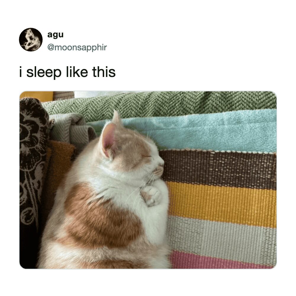 heartwarming funny cat meme showing a ginger and white cat curled into an impossibly tight, perfectly round ball while sleeping on a multi-colored striped blanket. The user captions it simply with, "i sleep like this."
