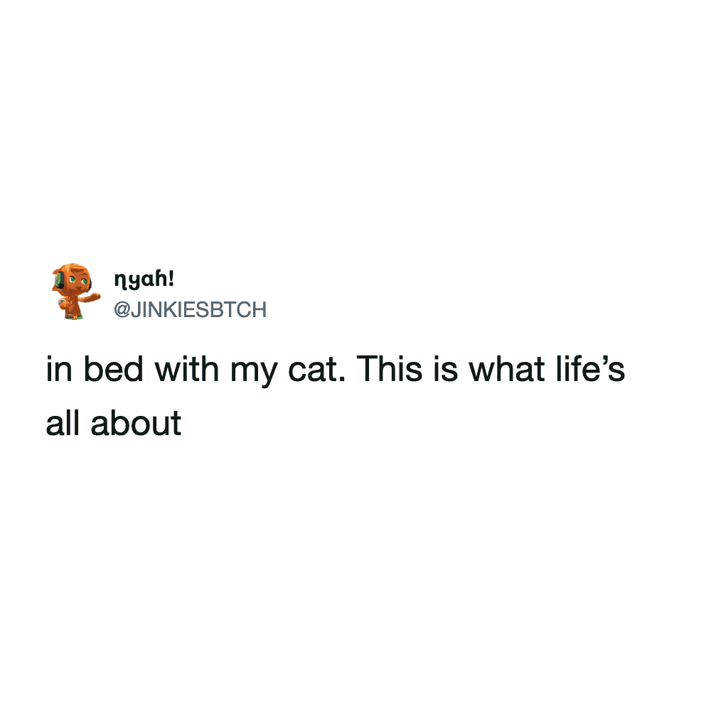 minimalist text-only funny cat meme tweet from an account named "nyah!" that captures a universal sentiment for pet owners: "in bed with my cat. This is what life’s all about."