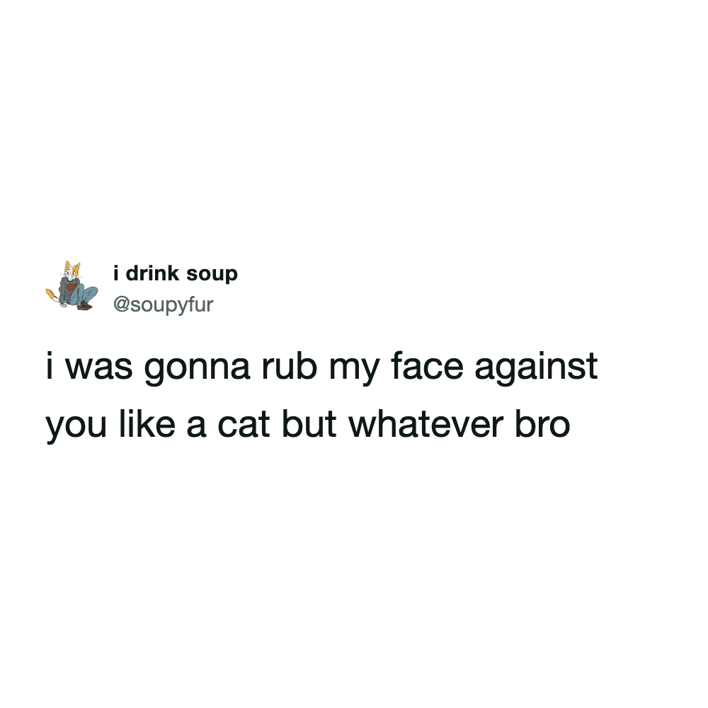 This funny cat meme consists of a brief, sassy text tweet from "i drink soup" that jokes about wanting to perform a "cat-like head rub" on someone before being rebuffed.