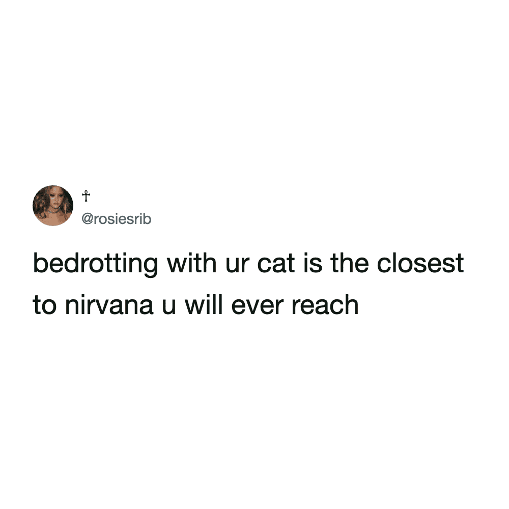modern text-based funny cat meme tweet declaring that "bedrotting"—the act of staying in bed all day—with your cat is the highest state of spiritual enlightenment one can achieve.