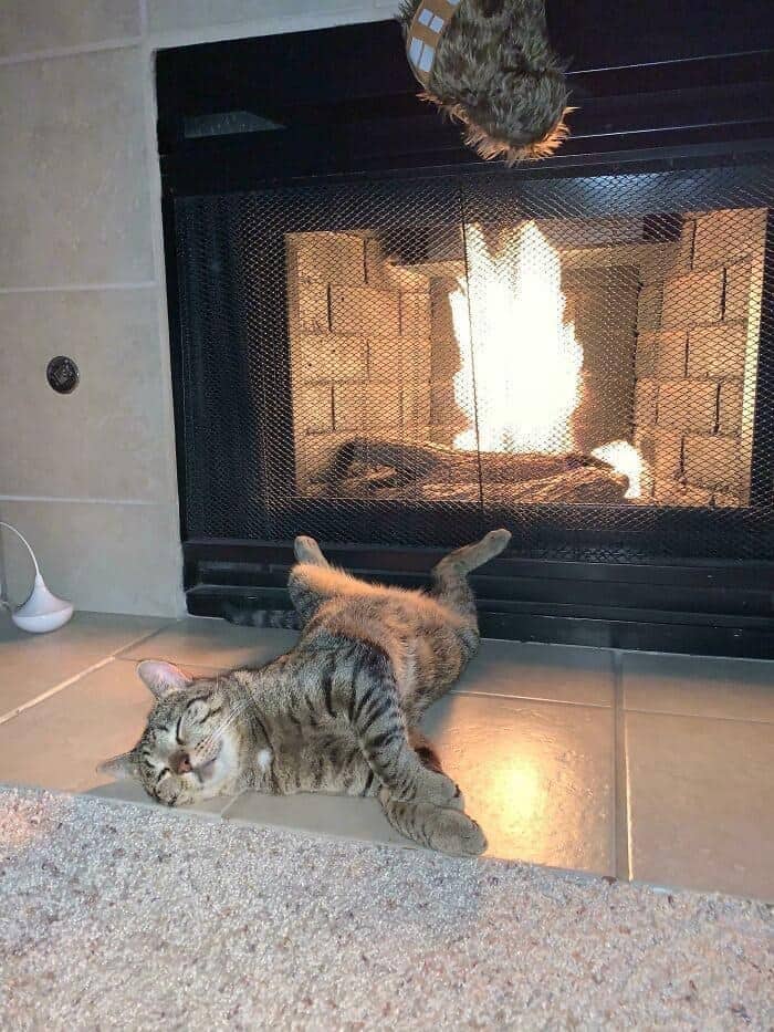 cozy scene in funny cat pictures showing a tabby cat sprawled completely flat on its back directly in front of a blazing fireplace, soaking up maximum heat in absolute bliss.