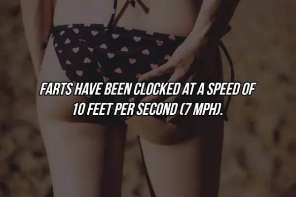 Science meme displaying the recorded speed of human flatulence at seven miles per hour.