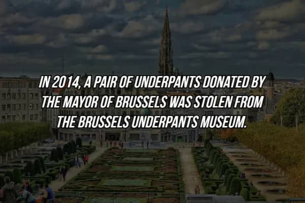 Bizarre crime fact about stolen mayoral underpants from the Brussels Underpants Museum in 2014