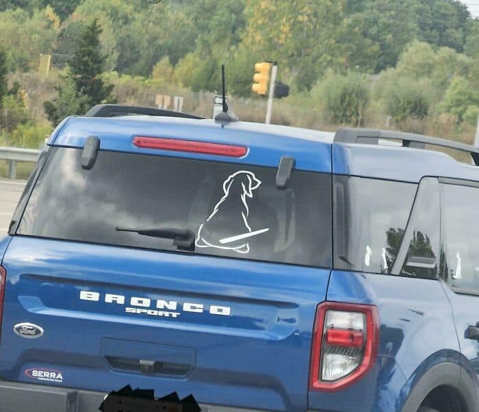 accidental funny fail involving a window decal of a dog on a blue Ford Bronco Sport. The rear windshield wiper is positioned perfectly to look like a giant, misplaced stick protruding from the dog's silhouette.