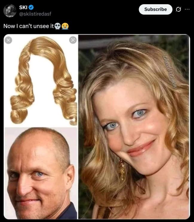 Funny comparison meme showing Woody Harrelson and a wig resembling Skyler White from Breaking Bad.