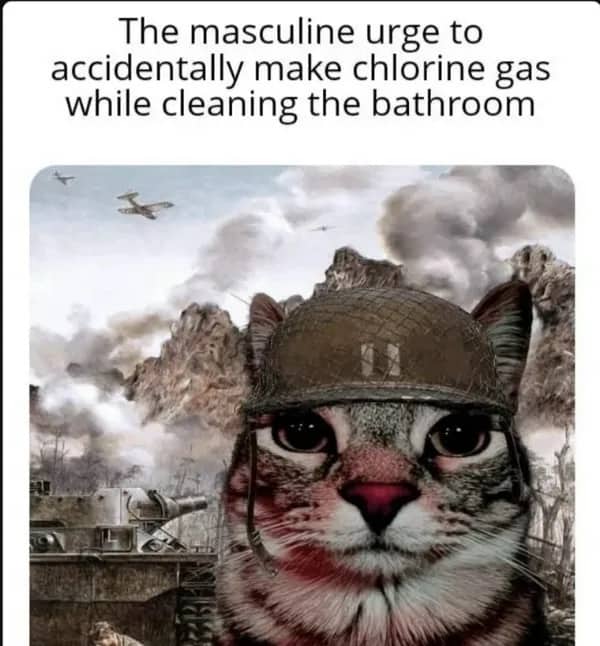 Thousand-yard stare cat meme about the masculine urge to accidentally make chlorine gas while cleaning