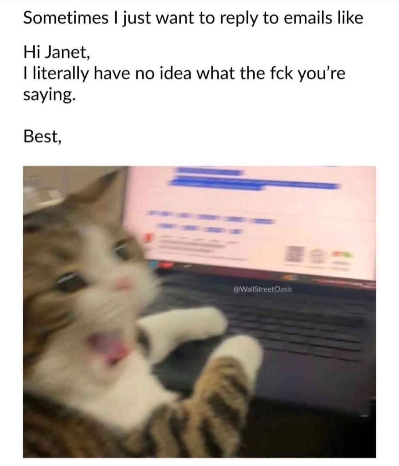 Relatable work meme of a blurry cat at a laptop wanting to send honest email replies.
