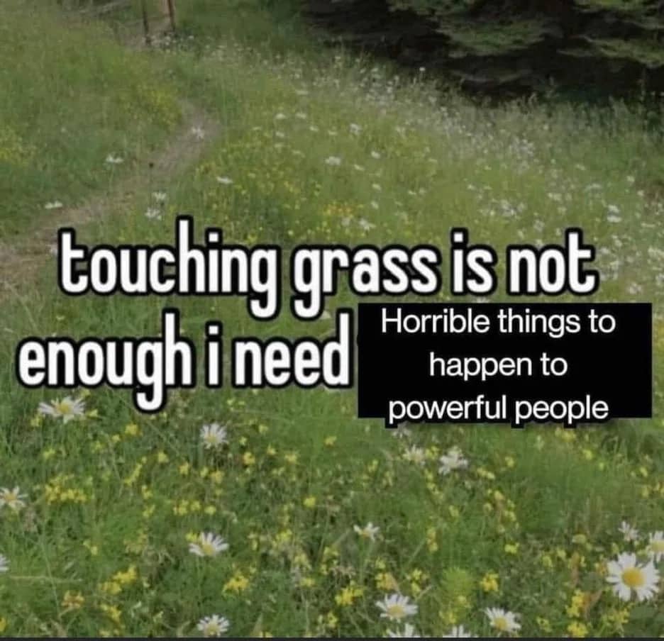 Field of wildflowers with text about needing horrible things to happen to powerful people.