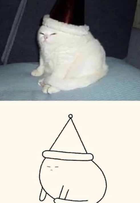 Funny side-by-side comparison of a grumpy white cat in a hat and a simple line drawing.