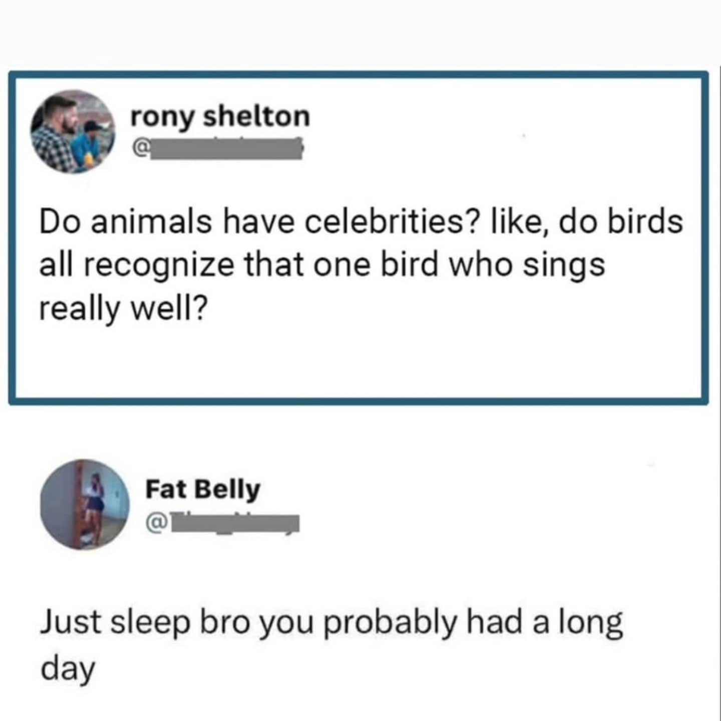 Relatable social media post questioning if animals have celebrities and birds have famous singers.